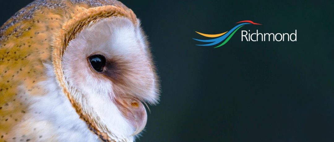 City of Richmond Barn Owl Boxes